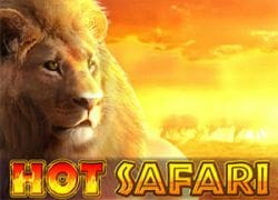 Hot Safari Slot Logo