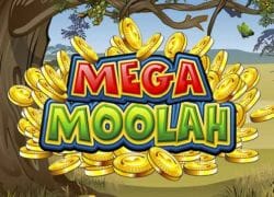 Mega Moolah Slot Logo