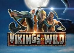 Vikings go Wild Slot Logo